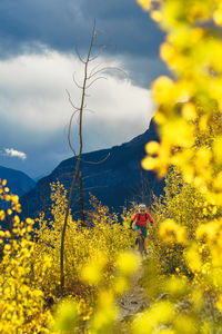 Rear view of man standing on yellow field against sky