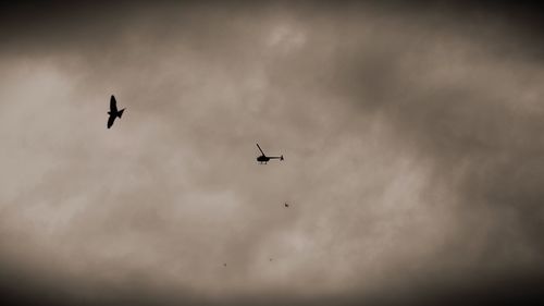 Low angle view of airplane flying in sky