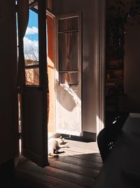 Cat looking through window of house