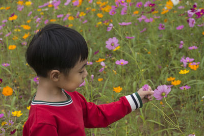 Close-up of boy looking at flowering plants