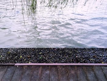 Reflection of trees in water