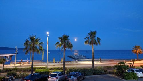 Palm trees on beach against clear blue sky