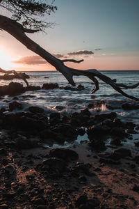 Scenic view of sea during sunset