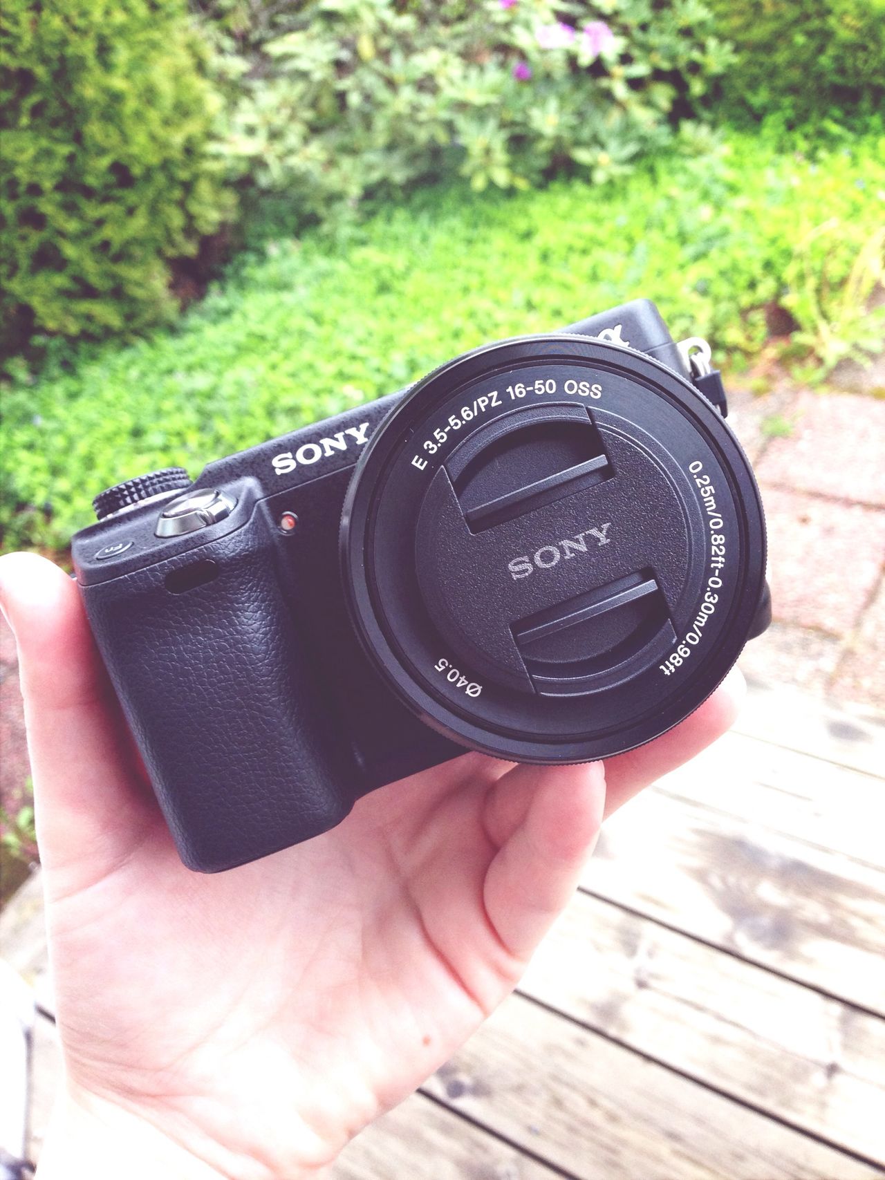 Sonynex6