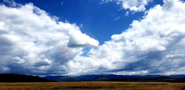 Scenic view of field against sky