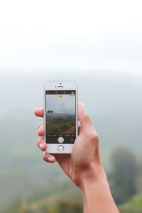 Cropped hand of person photographing nature through mobile phone