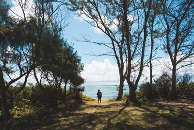 Rear view of man standing on tree by sea against sky