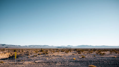 Scenic view of landscape against clear sky