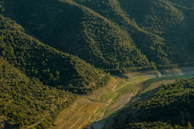 High angle view of trees on field