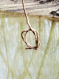 Close-up of reflection in lake