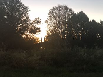 Silhouette trees on field against sky at sunset