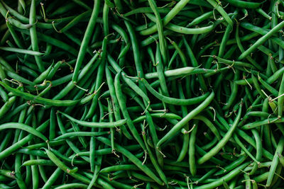 Lots of green string beans at the farmers market