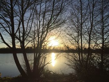 Silhouette of bare trees in lake during sunset