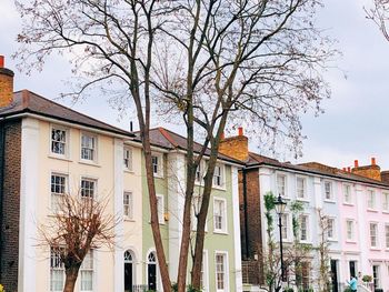 Low angle view of tree and building against sky