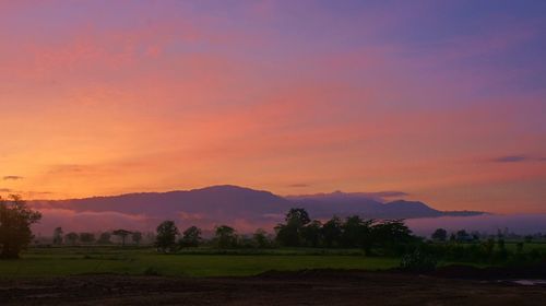 Scenic view of field against sky during sunset