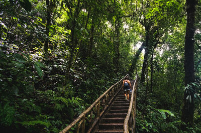 Woman walking on footbridge in forest