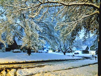 View of snow covered road amidst trees in city