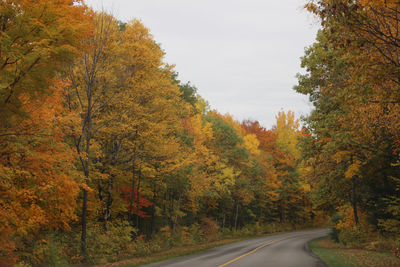 Trees by road against sky during autumn