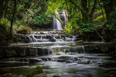 Scenic view of waterfall in forest