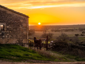 Scenic view of sunset over field