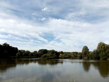 Reflection of trees in calm lake