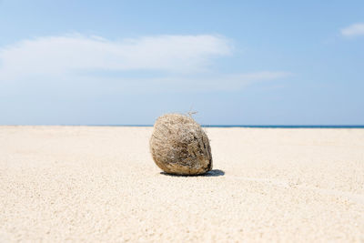 Surface level of sand on beach against sky