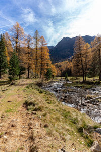 Scenic view of landscape against sky