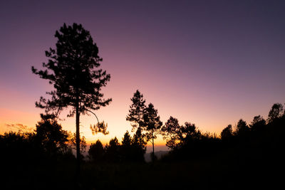 Silhouette trees against sky during sunset