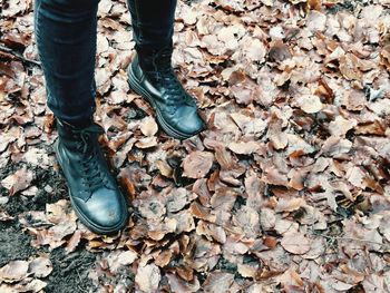 Low section of person standing on dry leaves