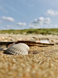 Surface level of sand on beach against sky