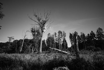 Silhouette trees on field against sky