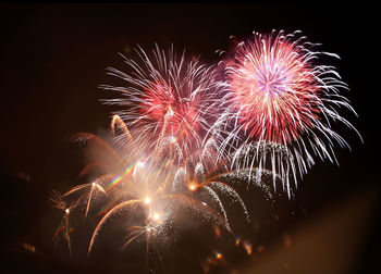 Low angle view of firework display at night