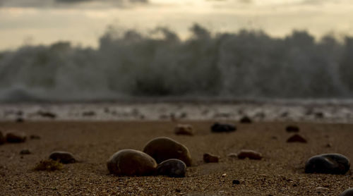 Close-up of pebbles on beach against sky