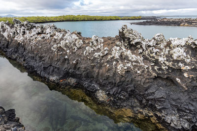 Close-up of rocks in sea against sky