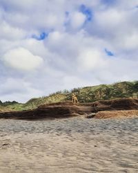 Scenic view of beach against sky