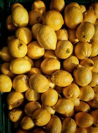 Full frame shot of lemons