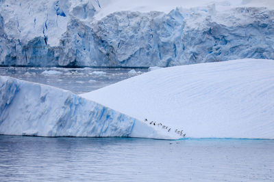 Scenic view of frozen lake