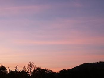 Low angle view of silhouette trees against sky during sunset
