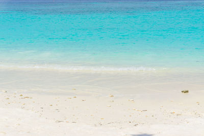 Scenic view of beach against blue sky