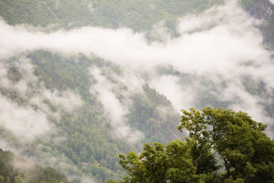 Scenic view of fog over mountains