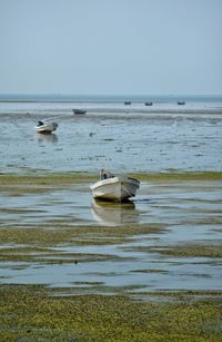 Boat moored on sea against clear sky