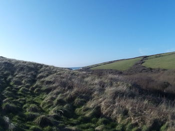 Scenic view of landscape against clear blue sky