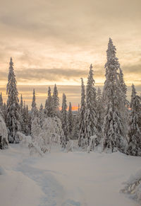 Snow covered landscape against sky