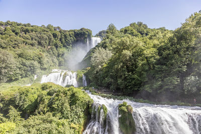 Scenic view of waterfall in forest