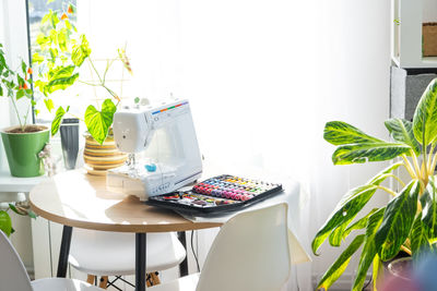 Potted plant on table at home