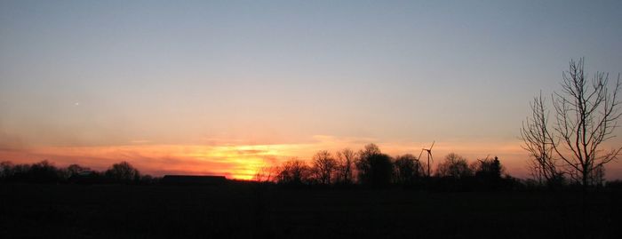 Silhouette of trees at sunset