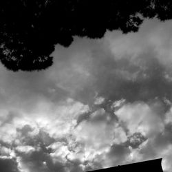 Low angle view of trees against cloudy sky