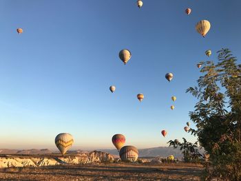 Hot air balloons flying over landscape against sky