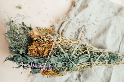 High angle view of dry leaf on plant