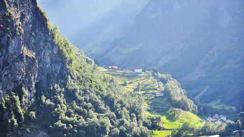 High angle view of fjords in norway in summer 